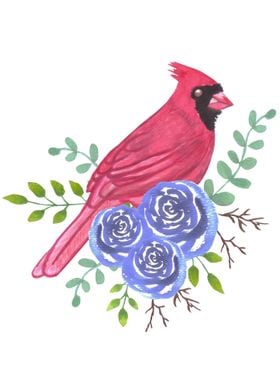 Cardinal and blue roses