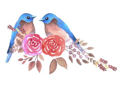 Bluebirds in love