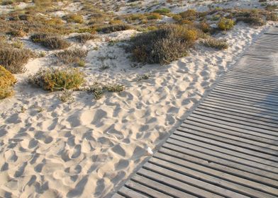 Wooden Walkway To Beach