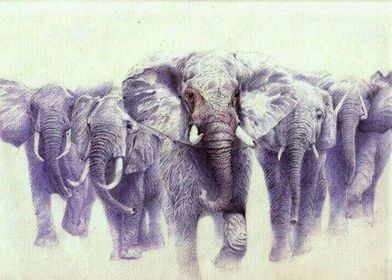 Elephant herd drawing pen