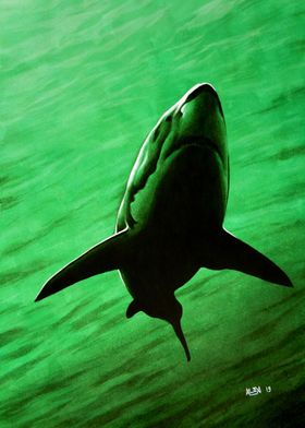 Ragin Waters - White Shark