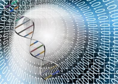 Binary DNA