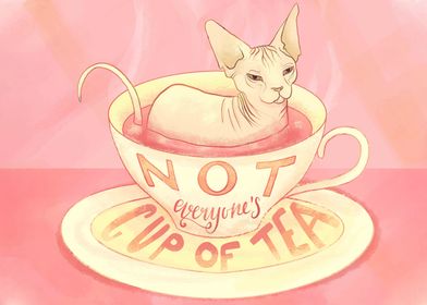 Sphynx Cat Inspo