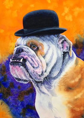 Bulldog in Derby Hat