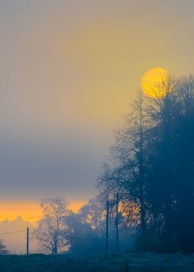 Strong Morning Fog In The 