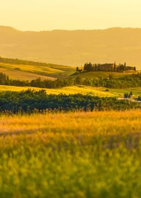 Tuscany Italy  Landscape