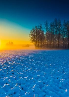 Premium Portraits-preview-0