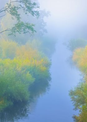 Mornig River And A Forest 