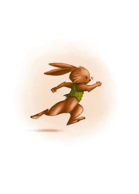 rabbit run