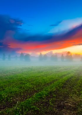 Premium Portraits-preview-1