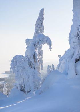 View over the lake