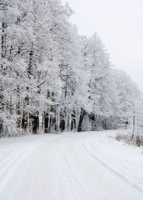 Winter Scene Road And Fore