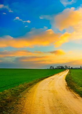 Premium Portraits-preview-2