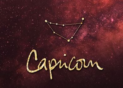 capricorn