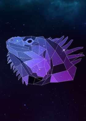 Galaxy Iguana