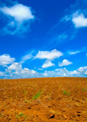 Plowed Field With Beautifu