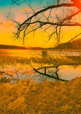 Misty Autumn Landscape At 