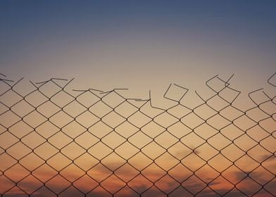 Old wire mesh fence