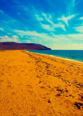 Wild Desert Sand Beach