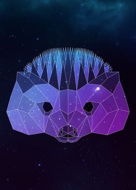 Galaxy Hedgehog