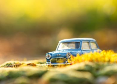 Vintage toy car in moss