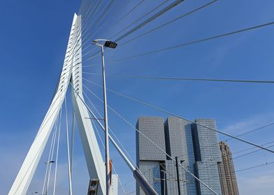 Erasmus bridge