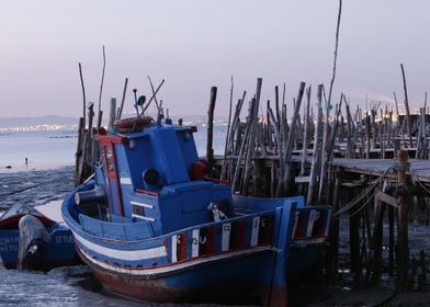 Boat on shore