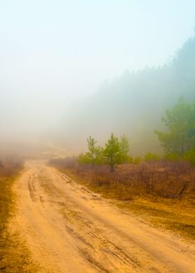 Rural Road In A Misty Morn