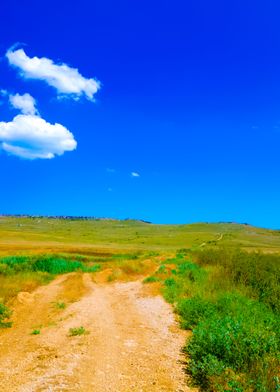 Rural Road To The Sea Coas