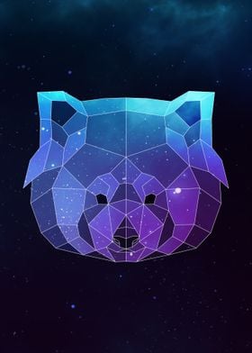 Galaxy Red Panda