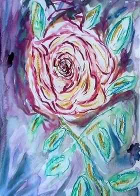 Rose aquarelle