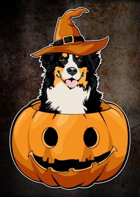 Halloween Witch Dog