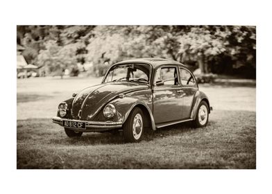 Vintage Volks Beetle