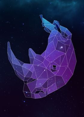 Galaxy Rhino