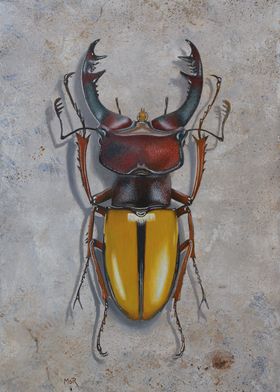 Lucanus Laetus