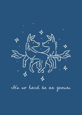 Gemini Zodiac Signs