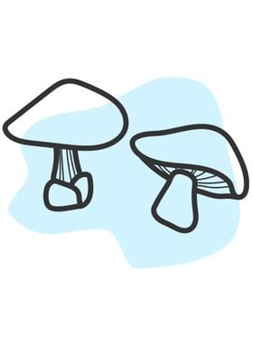 Hand Drawn Mushroom