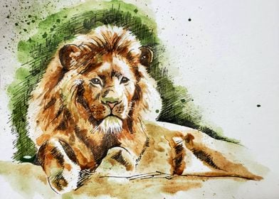 Lion