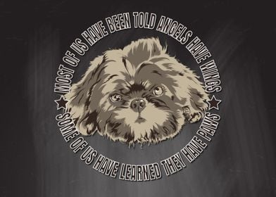 Angels Have Paws Shihtzu