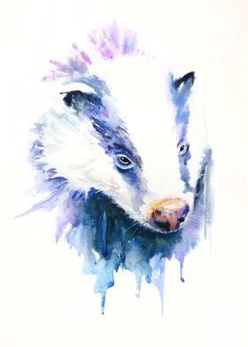 Brock  Badger Study