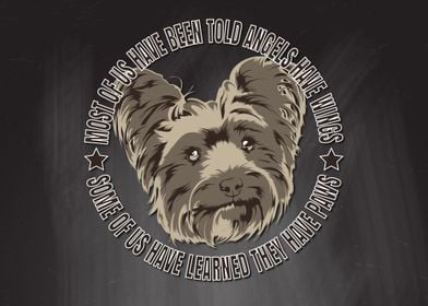 Paws Yorkshire Terrier