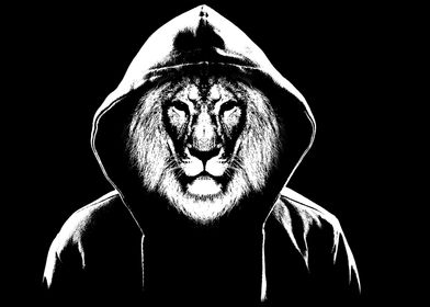 Hooded Lion