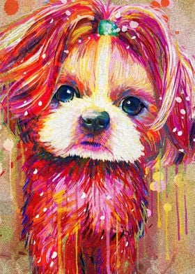 Colorful Shih Tzu painting