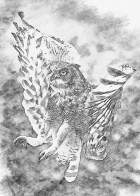 Eagle Owl Sketch Art