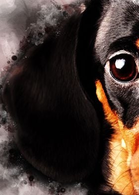 Dachshund Dog Wall Art