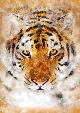 Tiger Powerful Gaze