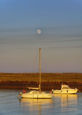 boats