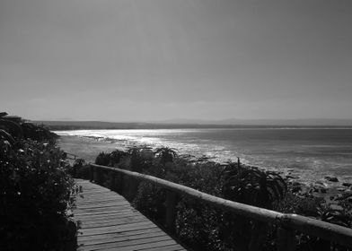 Path To The Beach