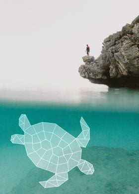 turtle dive