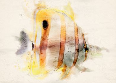 Yellow fish